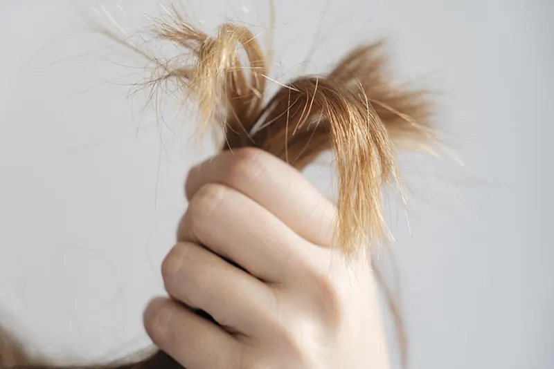 Discover the Best Care for Your Hair at Our Professional Hair Salon