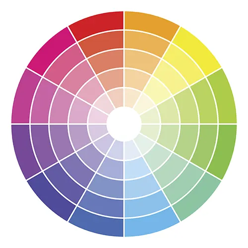 The Basics of the Hair Color Wheel